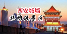 裸胸裸屁股口交自蔚黄色网站中国陕西-西安城墙旅游风景区